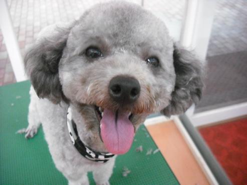 ファイル 1367-1.jpg