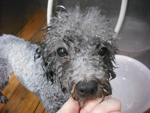 ファイル 1367-2.jpg