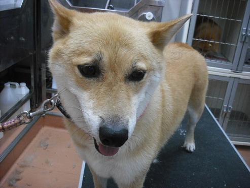 ファイル 1368-1.jpg