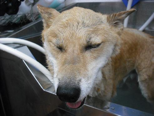 ファイル 1368-2.jpg