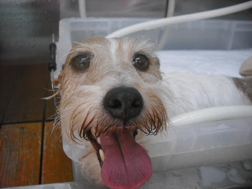 ファイル 1369-2.jpg