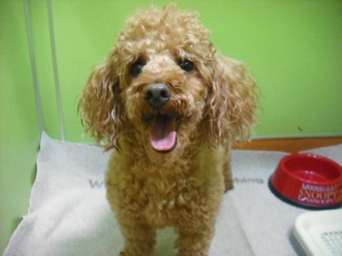 ファイル 137-1.jpg