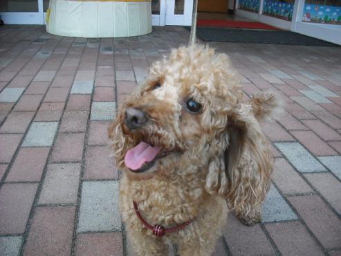 ファイル 137-2.jpg