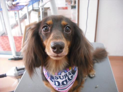 ファイル 1370-1.jpg