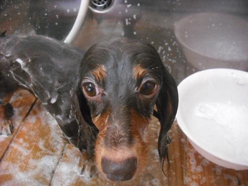 ファイル 1370-2.jpg