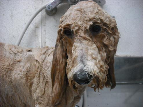 ファイル 1372-2.jpg