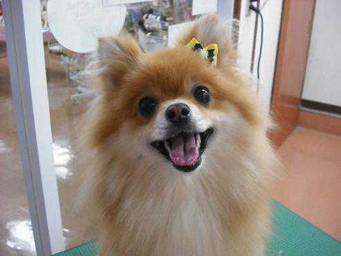 ファイル 1373-1.jpg