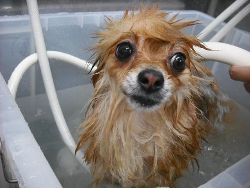 ファイル 1373-2.jpg