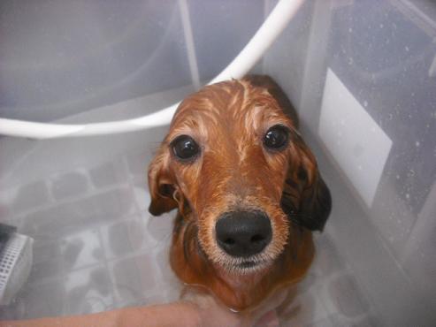 ファイル 1374-2.jpg