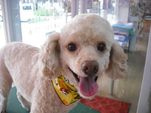 ファイル 1375-1.jpg