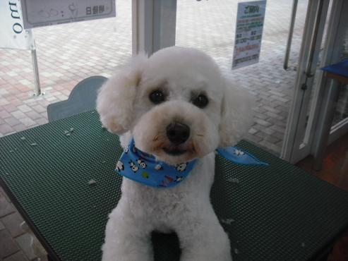 ファイル 1377-1.jpg