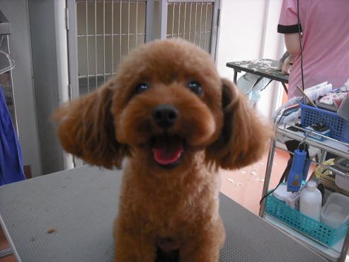 ファイル 1379-1.jpg