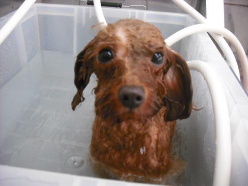 ファイル 1379-2.jpg