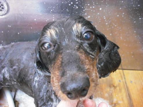 ファイル 138-2.jpg