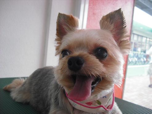 ファイル 1380-1.jpg