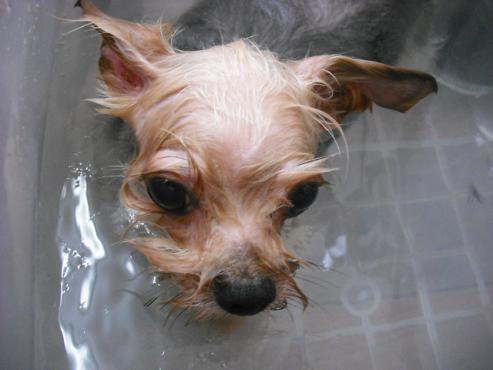 ファイル 1380-2.jpg