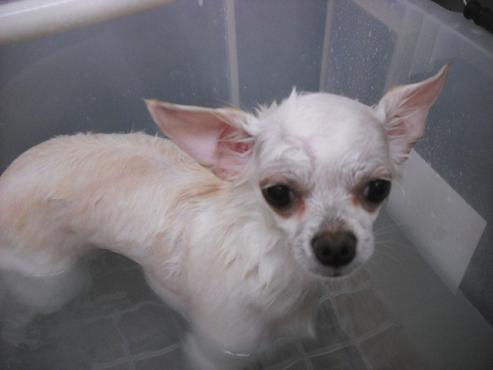 ファイル 1381-2.jpg