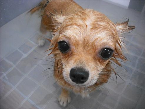 ファイル 1382-2.jpg