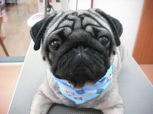 ファイル 1384-1.jpg