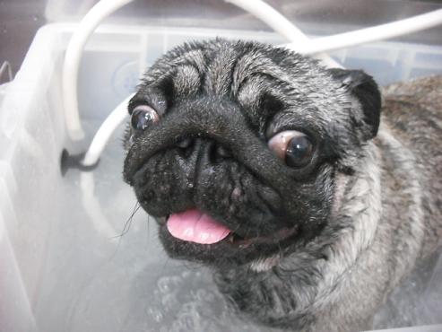 ファイル 1384-2.jpg