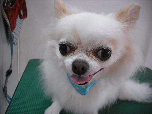 ファイル 1387-1.jpg