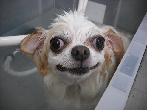 ファイル 1387-2.jpg