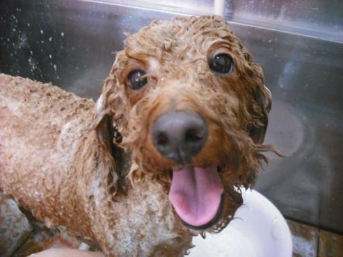 ファイル 1389-2.jpg