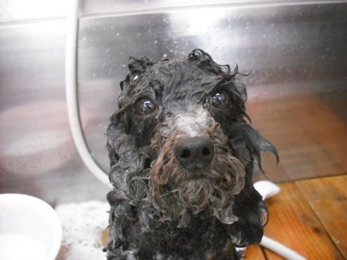 ファイル 139-2.jpg