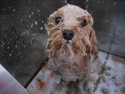 ファイル 1390-2.jpg