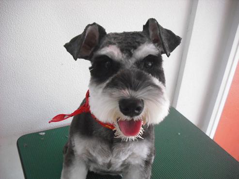 ファイル 1391-1.jpg