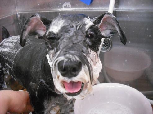 ファイル 1391-2.jpg