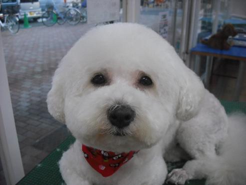 ファイル 1392-1.jpg