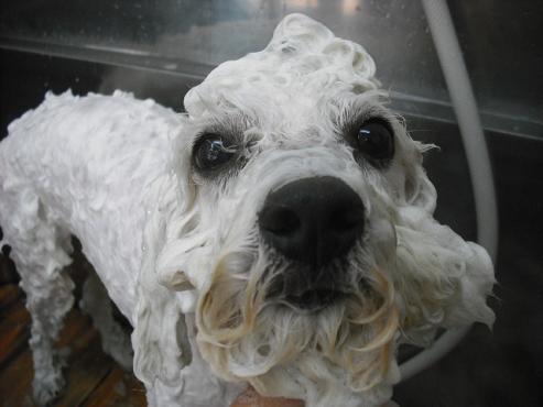 ファイル 1393-2.jpg