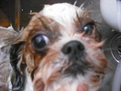 ファイル 1394-2.jpg