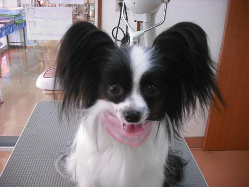 ファイル 1395-1.jpg