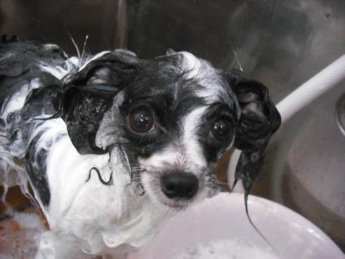 ファイル 1395-2.jpg