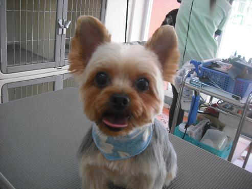 ファイル 1396-1.jpg