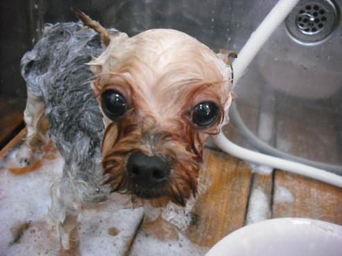 ファイル 1396-2.jpg