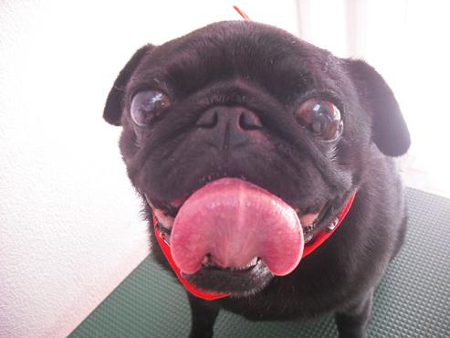 ファイル 1397-1.jpg