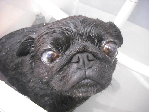 ファイル 1397-2.jpg