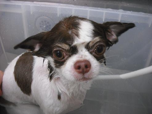 ファイル 1398-2.jpg