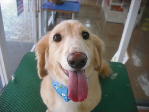 ファイル 1399-1.jpg