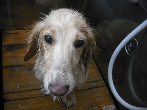 ファイル 1399-2.jpg