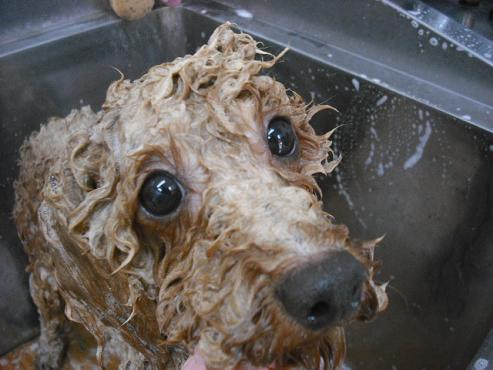 ファイル 140-2.jpg