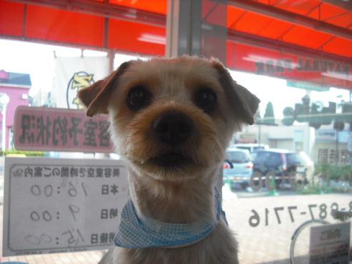 ファイル 1400-1.jpg