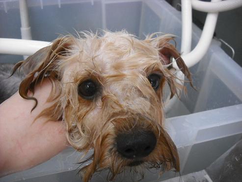 ファイル 1400-2.jpg