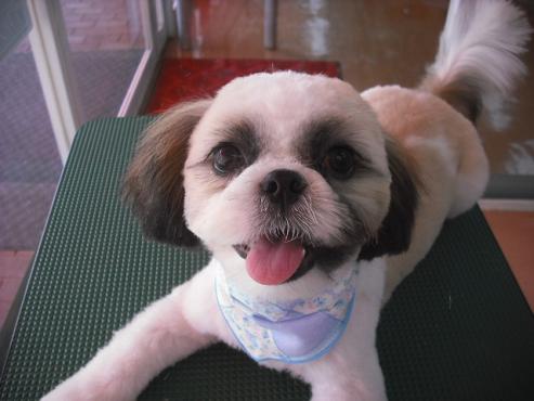 ファイル 1401-1.jpg