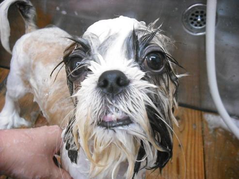 ファイル 1401-2.jpg