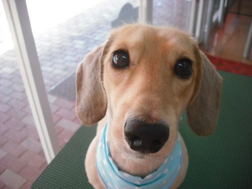 ファイル 1402-1.jpg