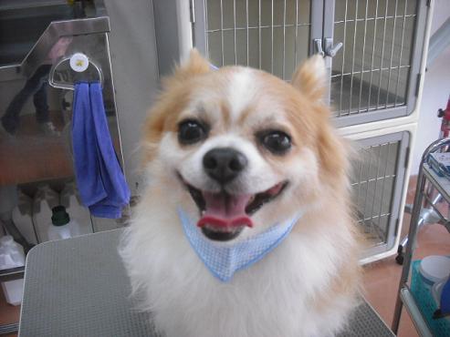 ファイル 1403-1.jpg